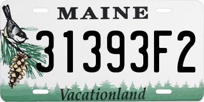 ME license plate 31393F2