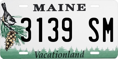 ME license plate 3139SM