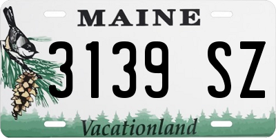 ME license plate 3139SZ