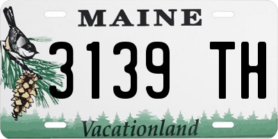 ME license plate 3139TH