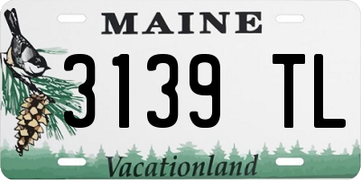 ME license plate 3139TL