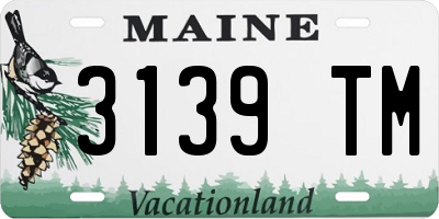 ME license plate 3139TM