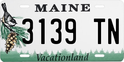 ME license plate 3139TN