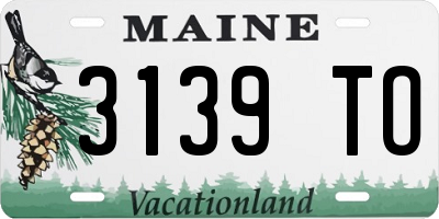 ME license plate 3139TO