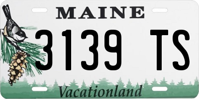 ME license plate 3139TS