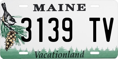 ME license plate 3139TV