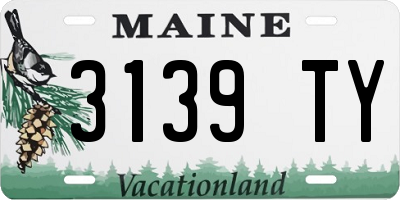 ME license plate 3139TY