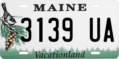 ME license plate 3139UA