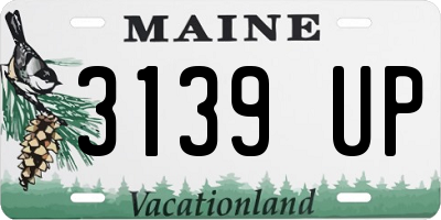 ME license plate 3139UP