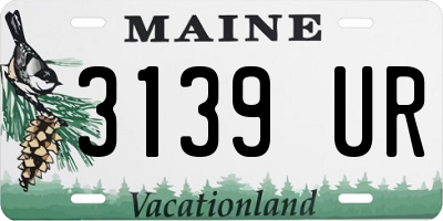 ME license plate 3139UR