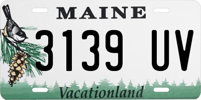 ME license plate 3139UV