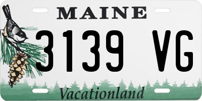 ME license plate 3139VG