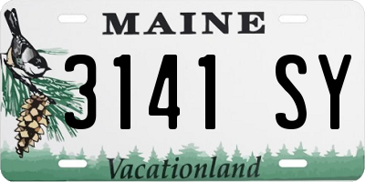 ME license plate 3141SY