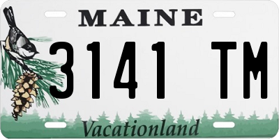 ME license plate 3141TM
