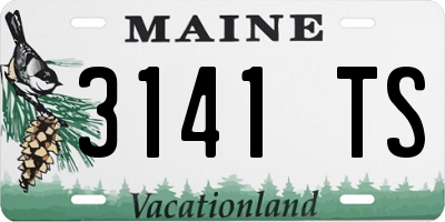 ME license plate 3141TS