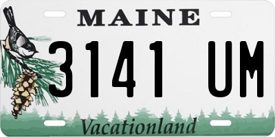 ME license plate 3141UM