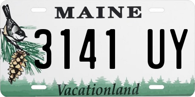 ME license plate 3141UY