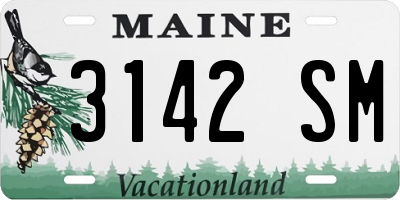 ME license plate 3142SM