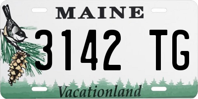 ME license plate 3142TG