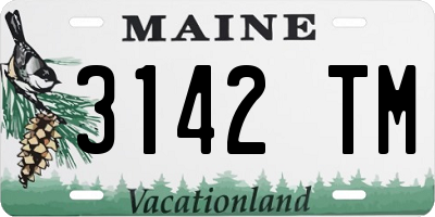 ME license plate 3142TM