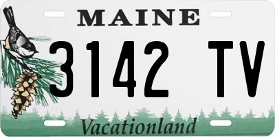 ME license plate 3142TV