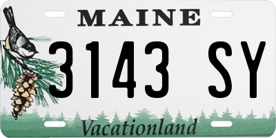 ME license plate 3143SY