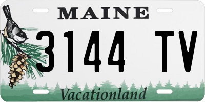 ME license plate 3144TV