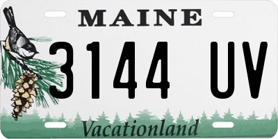 ME license plate 3144UV