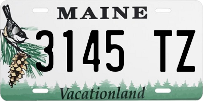 ME license plate 3145TZ