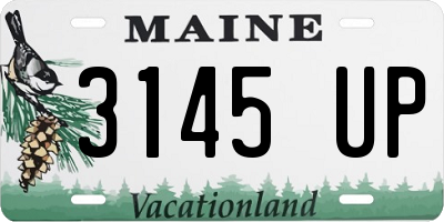 ME license plate 3145UP