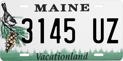 ME license plate 3145UZ