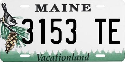 ME license plate 3153TE