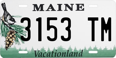 ME license plate 3153TM