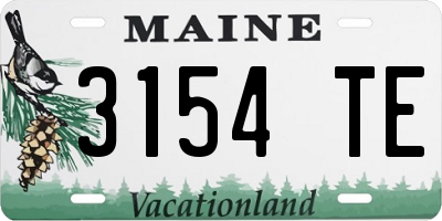 ME license plate 3154TE