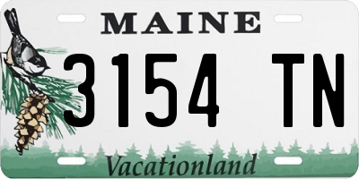 ME license plate 3154TN