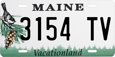 ME license plate 3154TV