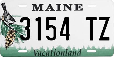 ME license plate 3154TZ