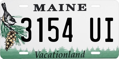 ME license plate 3154UI