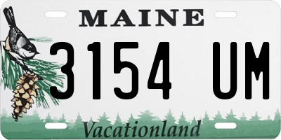 ME license plate 3154UM