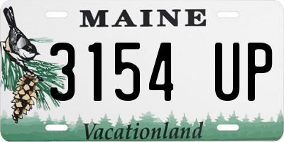 ME license plate 3154UP