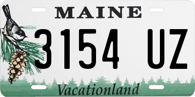 ME license plate 3154UZ