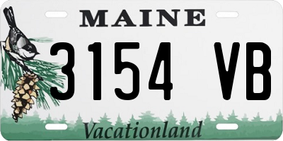 ME license plate 3154VB