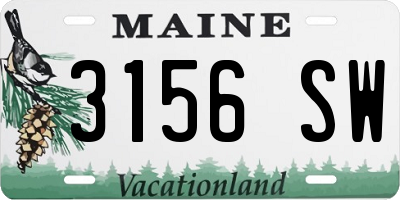 ME license plate 3156SW