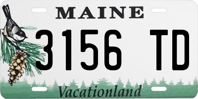 ME license plate 3156TD