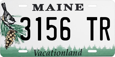 ME license plate 3156TR