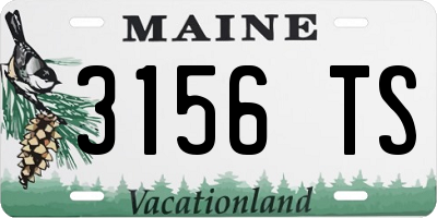 ME license plate 3156TS