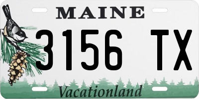 ME license plate 3156TX