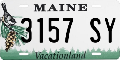 ME license plate 3157SY