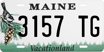 ME license plate 3157TG