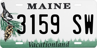 ME license plate 3159SW